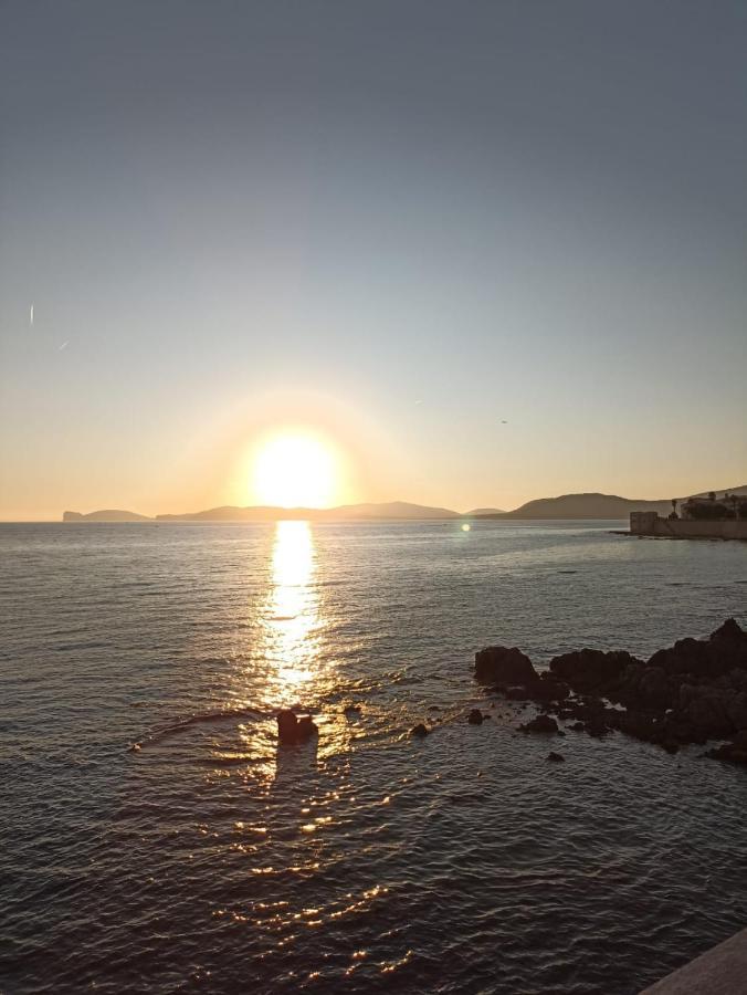 Appartamento Isola Catalana アルゲーロ エクステリア 写真